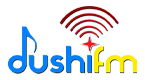 Dushi FM logo